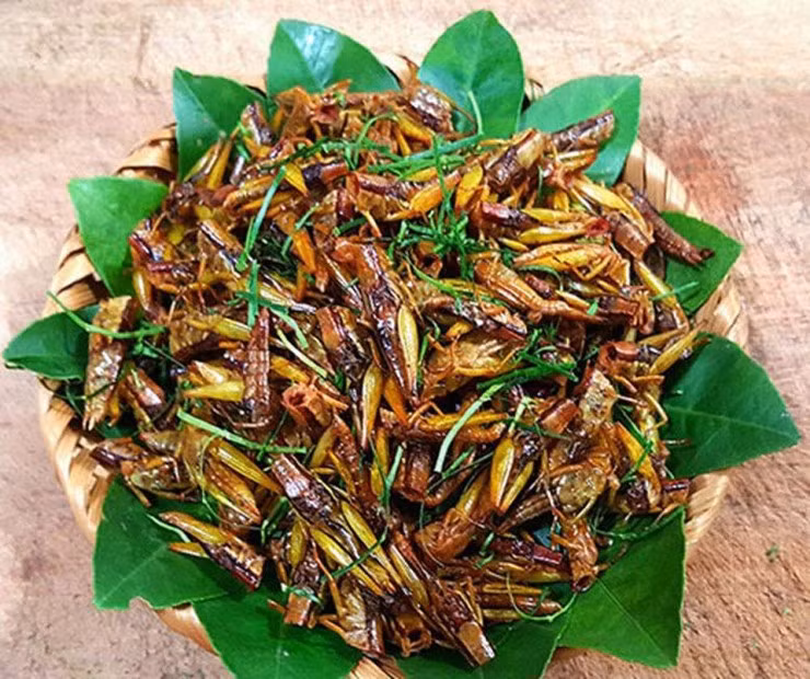 Giá muồm muỗm quá đắt nhưng vì nhớ hương vị tuổi thơ nên chị Nga chỉ dám đặt mua 2 lạng.