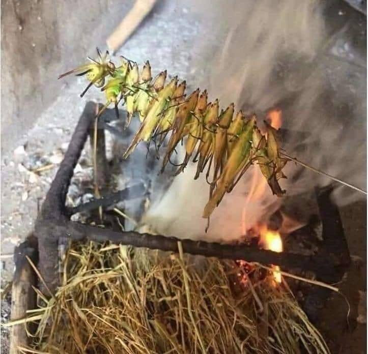 Vốn chỉ là món ăn dân dã, đồng quê, ít ai ngờ nay muồm muỗm được rao bán lên tới 800.000 đồng/kg.