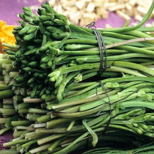 Xưa kia, rau kèo nèo được người dân miền Tây hái về ăn chống đói, không hết thì cho lợn, gà. Nhưng nay, rau kèo nèo trở thành đặc sản có hương vị lạ. Ảnh: NongsanDungHa