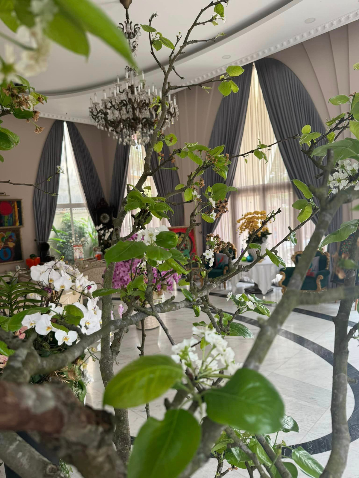 Trong phòng khách, Giáng My trang trí nhiều hoa và cây xanh.