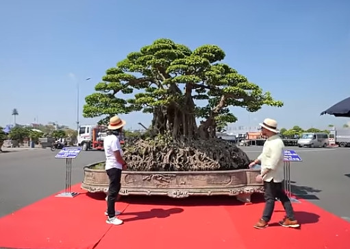 Tác phẩm "Cửu long tranh châu" từng thuộc sở hữu của vị quan khâm sai đại thần triều Nguyễn là cụ Hoàng Cao Khải (được mệnh danh Phó Vương). Ảnh chụp màn hình NhaTo