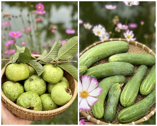 Các loại quả Mỹ Tâm thu hoạch trong vườn nhà. Ảnh: FBNV