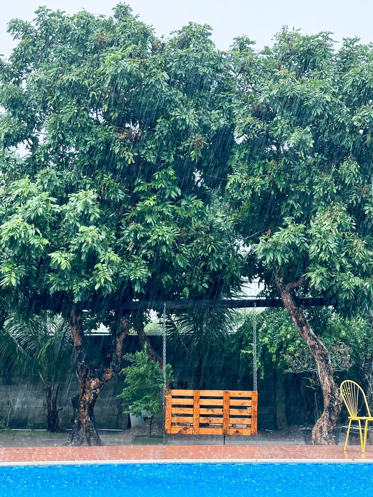 Bể bơi trong nhà vườn của Mỹ Tâm. Ảnh: FBNV