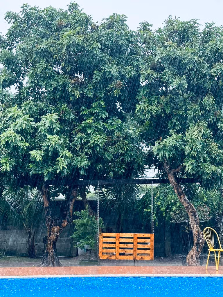 Bể bơi trong nhà vườn của Mỹ Tâm. Ảnh: FBNV