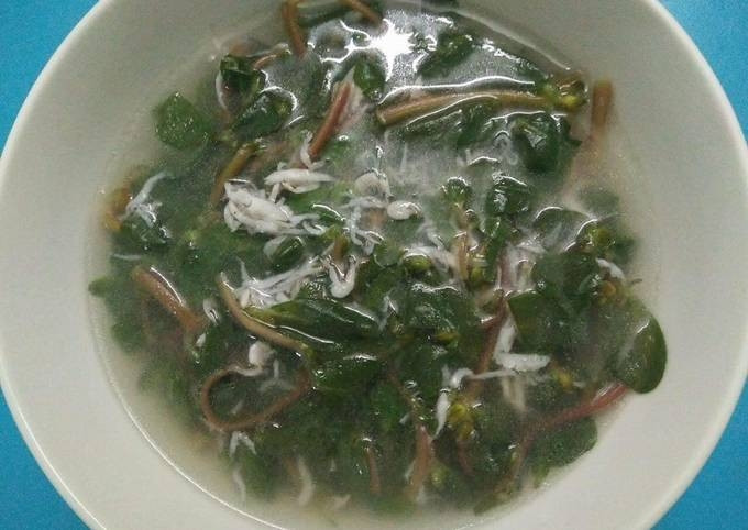 Xưa kia, rau sam gắn liền với những bữa cơm dân dã của nhiều gia đình ở làng quê Việt, thậm chí còn dùng để cho lợn ăn. Tuy nhiên mấy năm gần đây, rau sam bỗng thành đặc sản ở thành phố, nhất là trong mùa hè. Ảnh: Cookpad