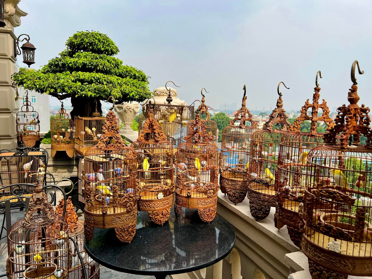 Bên cạnh việc chơi chim quý, anh Chương săn lùng những chiếc lồng chim độc đáo. Đây đều là những chiếc lồng được tìm mua từ các nghệ nhân ở Trung Quốc. Nguồn ảnh: FBNV