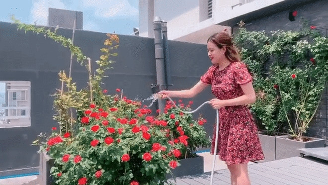 Trên sân thượng, Hoàng Thùy Linh trồng nhiều hoa và cây cảnh tạo không gian thoáng cho căn nhà. Ảnh: FB Hoàng Thùy Linh