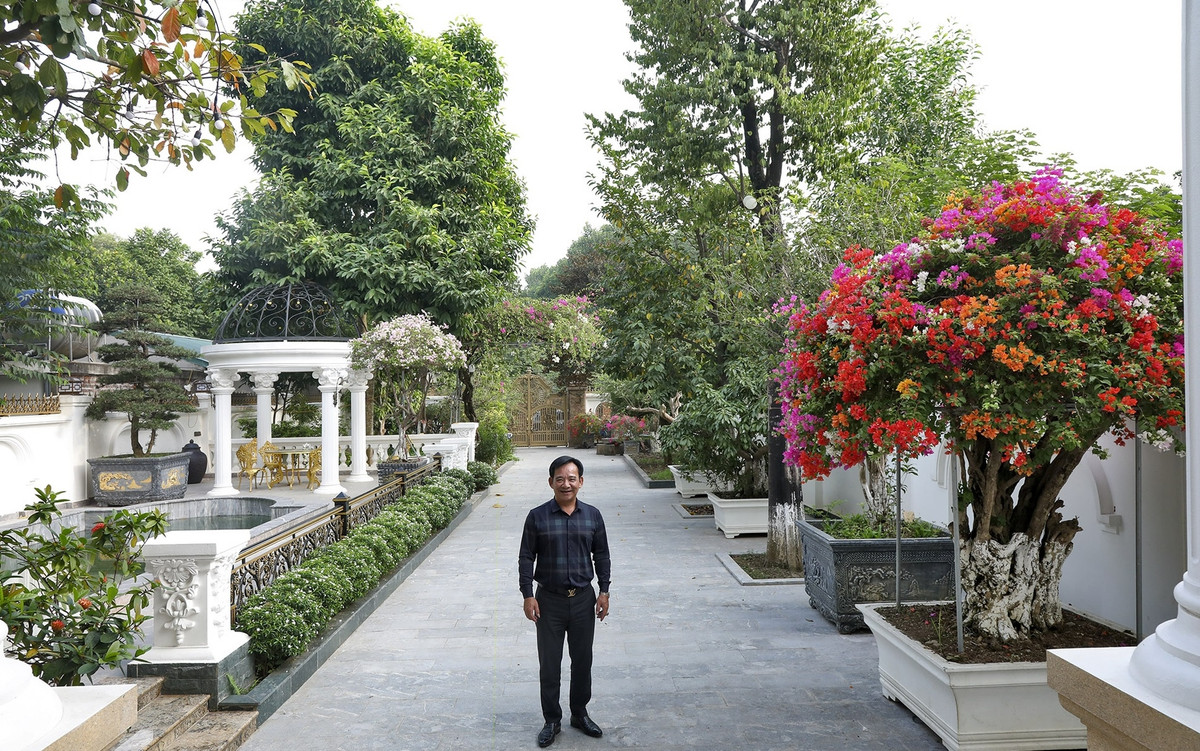 Lối vào nhà được trải đá và trồng nhiều cây cảnh, hoa hai bên. Ảnh: Dân trí