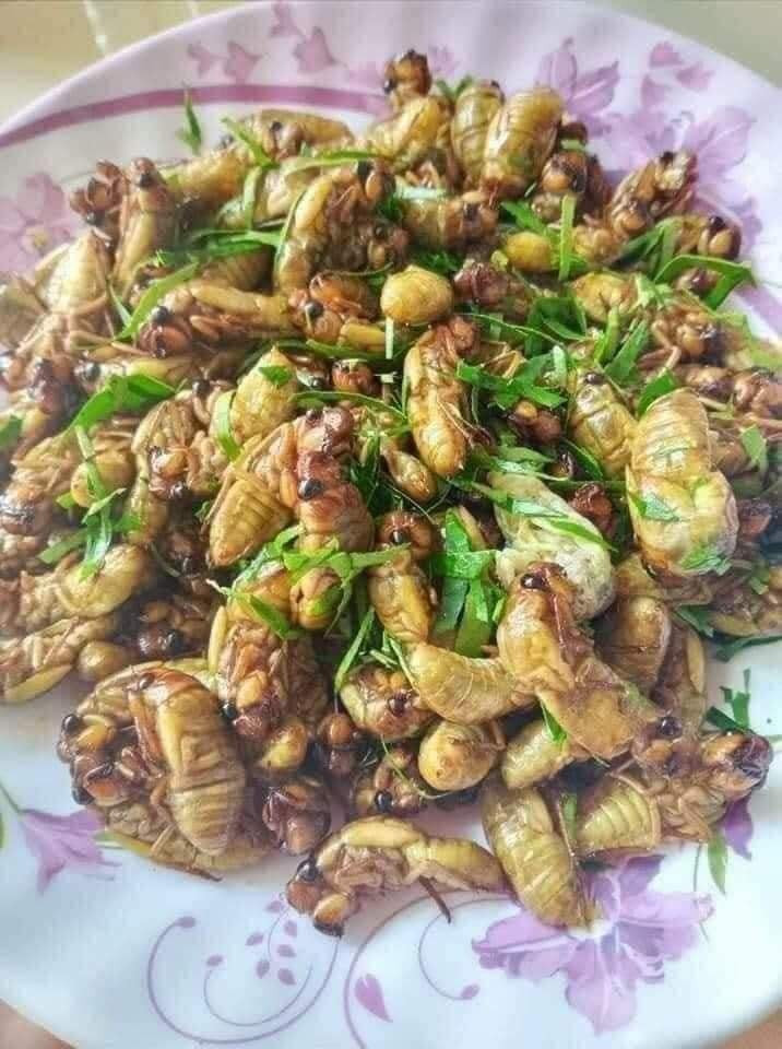 Tuy nhiên, các chuyên gia cũng cảnh báo, người bị dị ứng với côn trùng, phụ nữ mang thai, trẻ nhỏ và người có nguy cơ mắc bệnh gút không được ăn ve sầu.