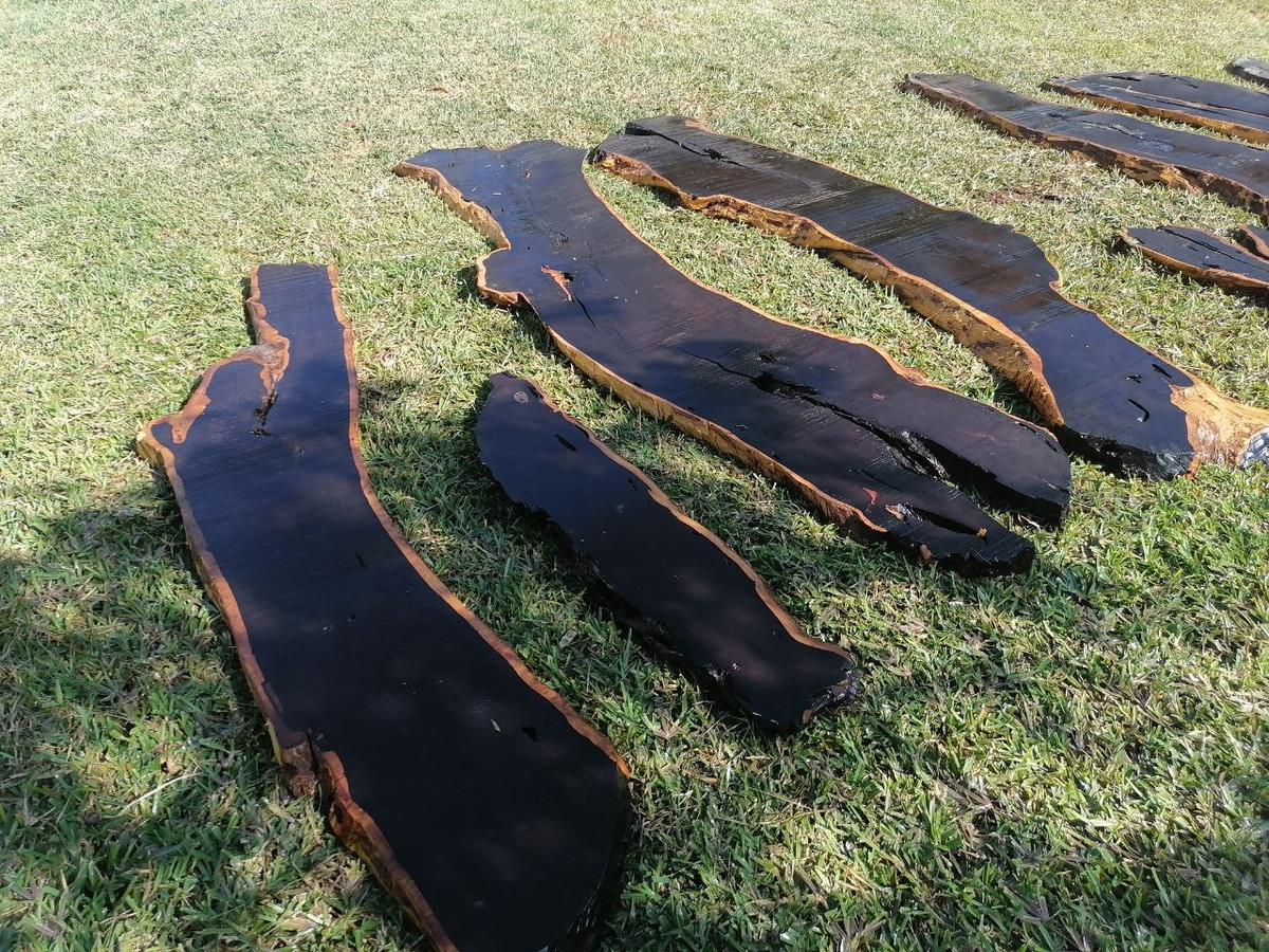 Gỗ mun đen châu Phi dày và cứng, chủ yếu được sử dụng làm nhạc cụ do có đặc tính âm thanh tuyệt vời. Ảnh: Wood Demand