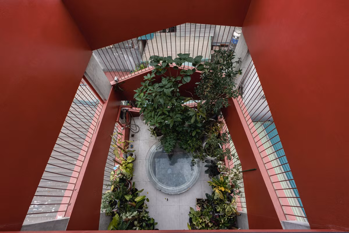 Không gian sống ngập tràn sắc xanh hiếm có.