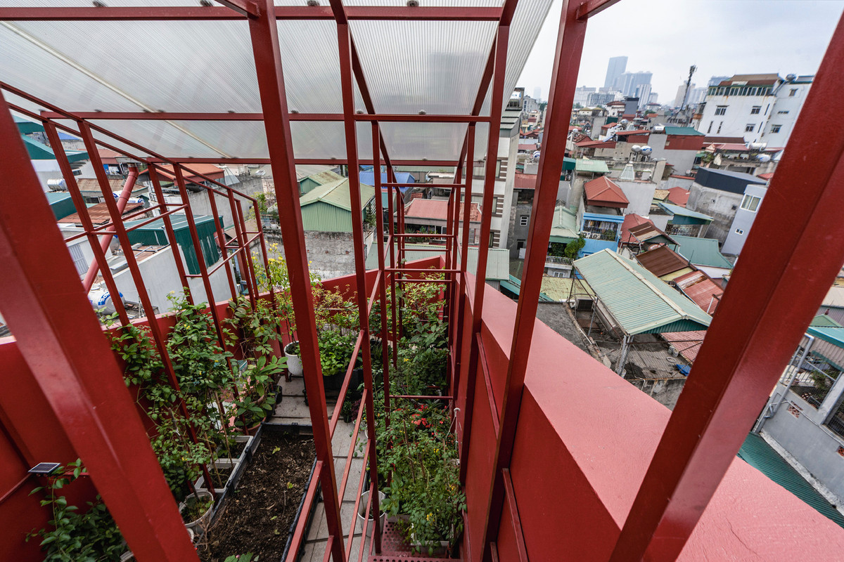 Khu vườn trên tầng cao nhất của căn nhà trồng rất nhiều cây xanh.