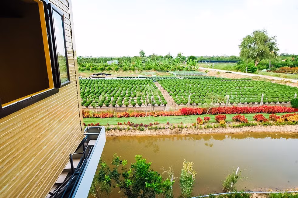 Ngôi nhà úp ngược lọt thỏm giữa bốn bề hoa kiểng. Nguồn ảnh: Facebook