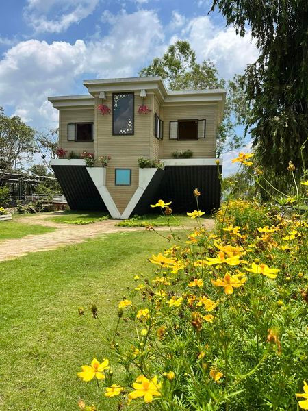 Tọa lạc tại ấp Khánh Hòa (xã Tân Khánh Đông, TP Sa Đéc, tỉnh Đồng Tháp), ngôi nhà lộn ngược xuống đất thuộc sở hữu của ông Trần Minh Đạo là địa điểm check – in gây “sốt rần rần” trong giới trẻ.