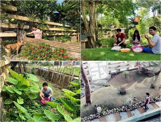 Tại Thanh Hóa, ca sĩ Trọng Tấn còn có một căn biệt thự dành cho bố mẹ. Ngôi nhà nằm trong không gian mở, rộng lớn với khu vườn trước nhà trồng nhiều cây và rau củ. Ảnh: FBNV