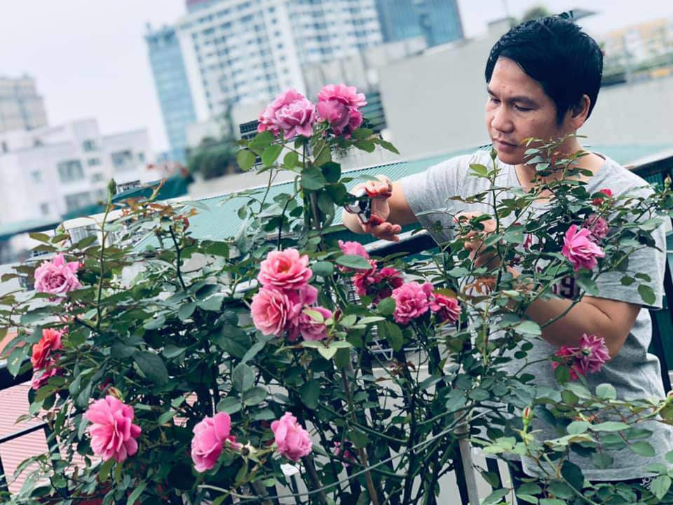 Ngoài rau xanh, "ông hoàng nhạc đỏ" còn trồng cả một vườn hồng rực rỡ. Ảnh: FBNV