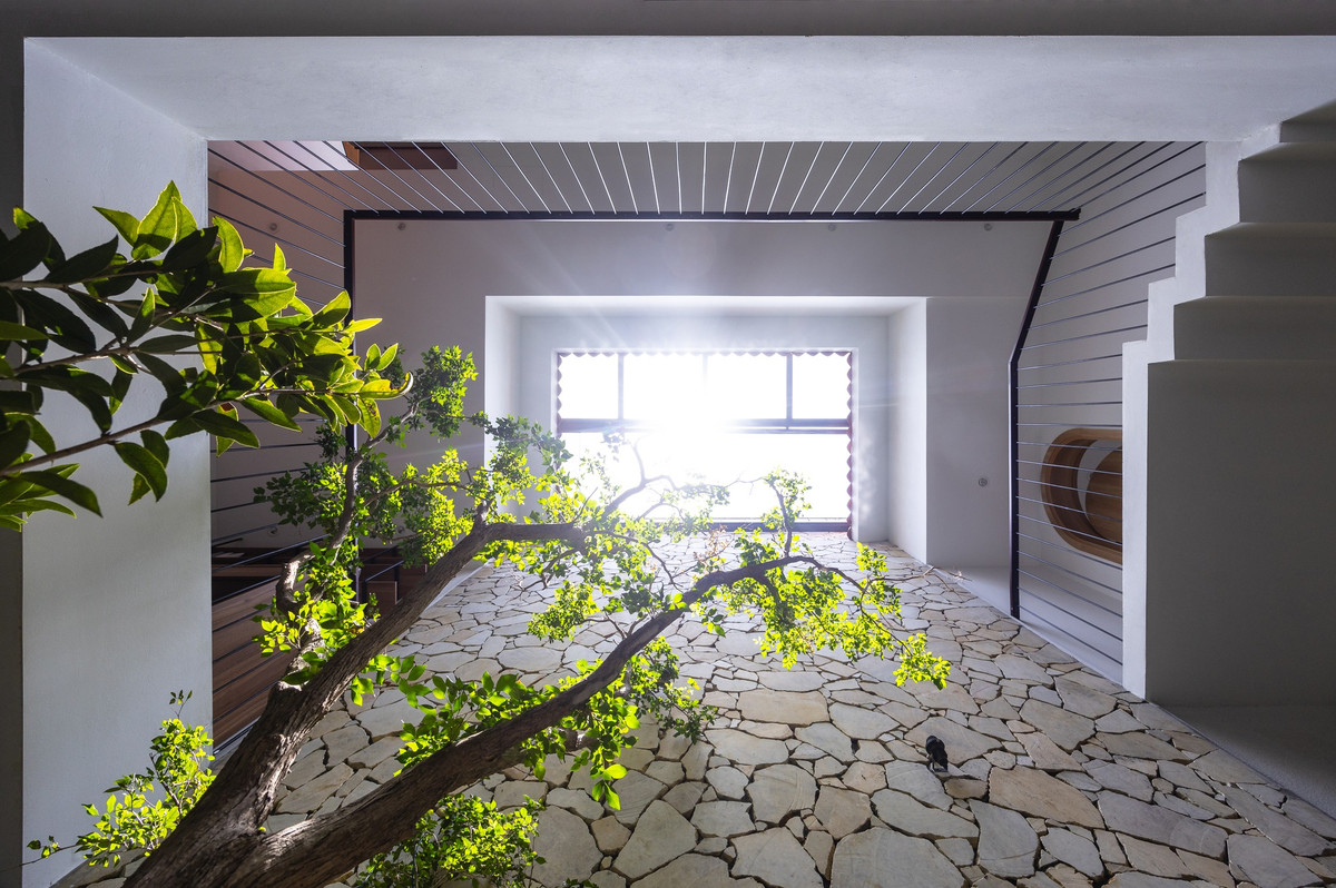 Điểm nhấn của ngôi nhà là khoảng giếng trời kết hợp với cấu trúc lệch tầng giúp điều hòa vi khí hậu và đối lưu không khí diễn ra tốt hơn. Ảnh: Triệu Chiến