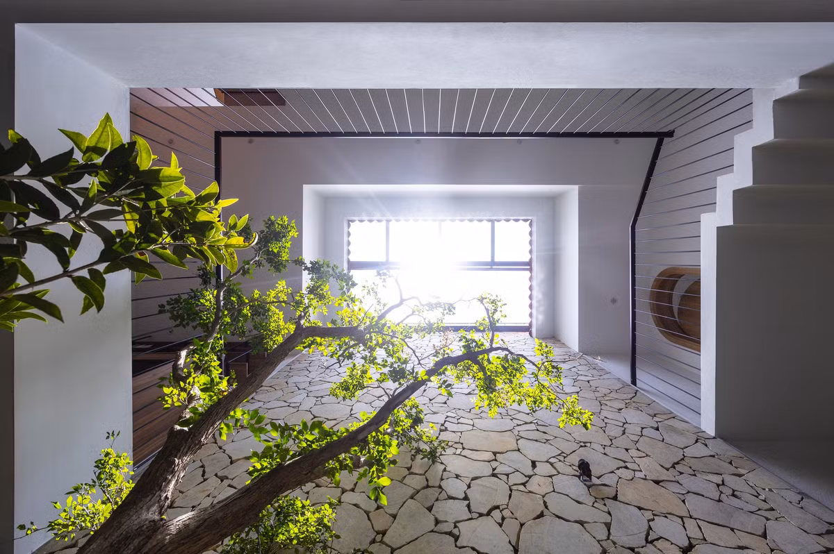 Điểm nhấn của ngôi nhà là khoảng giếng trời kết hợp với cấu trúc lệch tầng giúp điều hòa vi khí hậu và đối lưu không khí diễn ra tốt hơn. Ảnh: Triệu Chiến