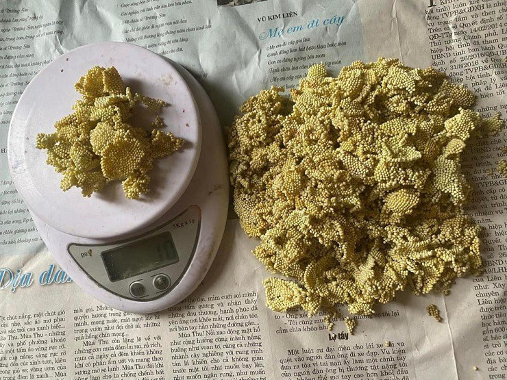 Trứng sản xuất đến đâu được bán hết đến đó cho khắp các tỉnh thành, giá dao động từ 700.000 đồng đến 1,2 triệu đồng/100gr. Ảnh: Dân Việt