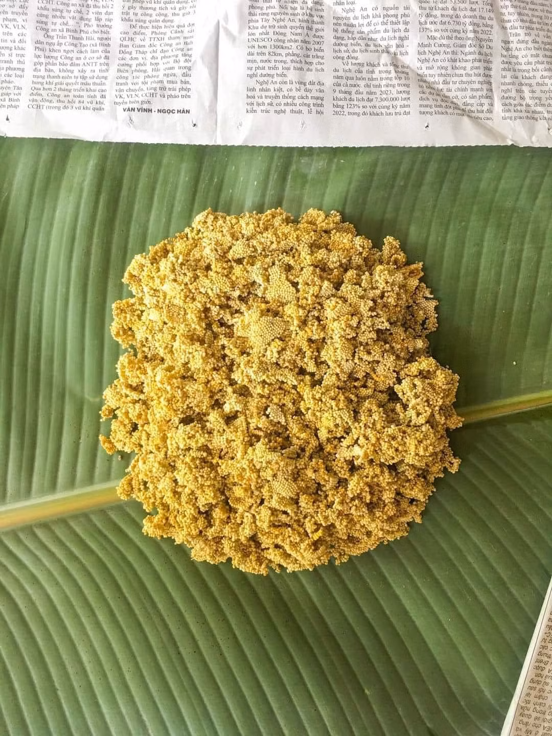 Trung bình, mỗi kg trứng tằm lá sắn có giá từ 9-13 triệu đồng. Ảnh: Facebook