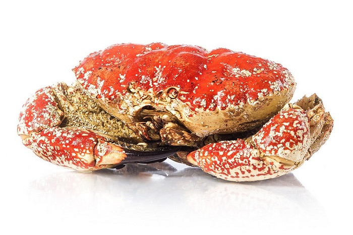 Bên cạnh đó, cua Úc khổng lồ Tasmania cũng được giới nhà giàu Việt săn lùng. Loài cua này sống ở vùng biển phía Nam của Australia. Ảnh: Haisanphuongnam