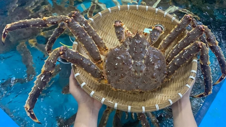 Cua hoàng đế được đánh bắt tại vùng biển sâu và lạnh ở biển Bắc Thái Bình Dương, vùng biển Alaska, trọng lượng khoảng từ 2kg - 4kg. Ảnh: Daohaisan