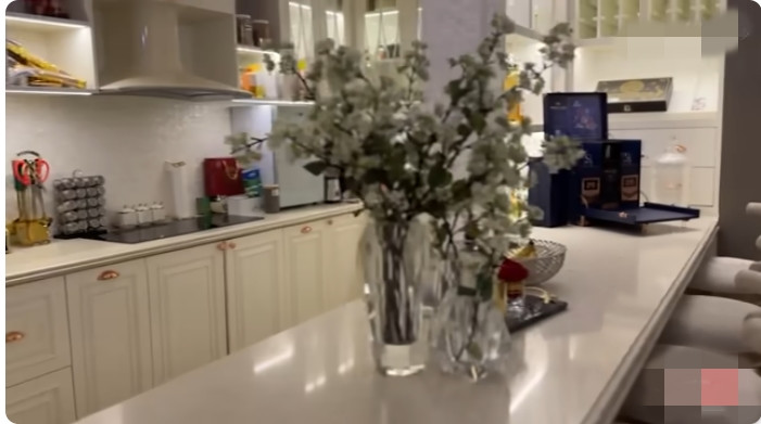 Tại khu vực bếp, Lệ Quyên sắm toàn bộ thiết bị cao cấp, phục vụ cho sinh hoạt của gia đình. Ảnh chụp màn hình