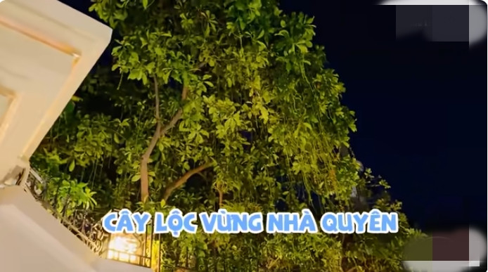 Đặc biệt, trong nhà của Lệ Quyên còn có hai cây lộc vừng nở hoa quanh năm. Ảnh chụp màn hình