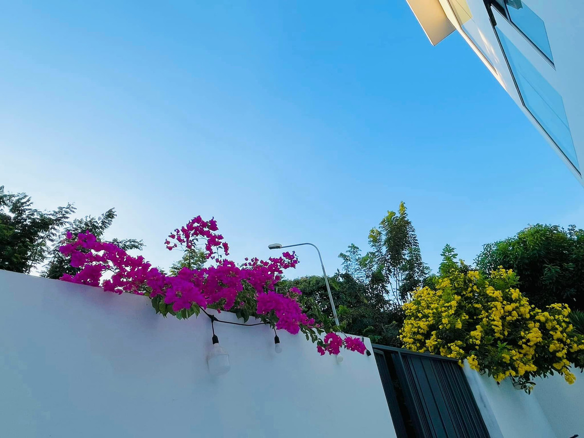 Cổng nhà nổi bật với nhiều loại hoa có màu sắc sặc sỡ.