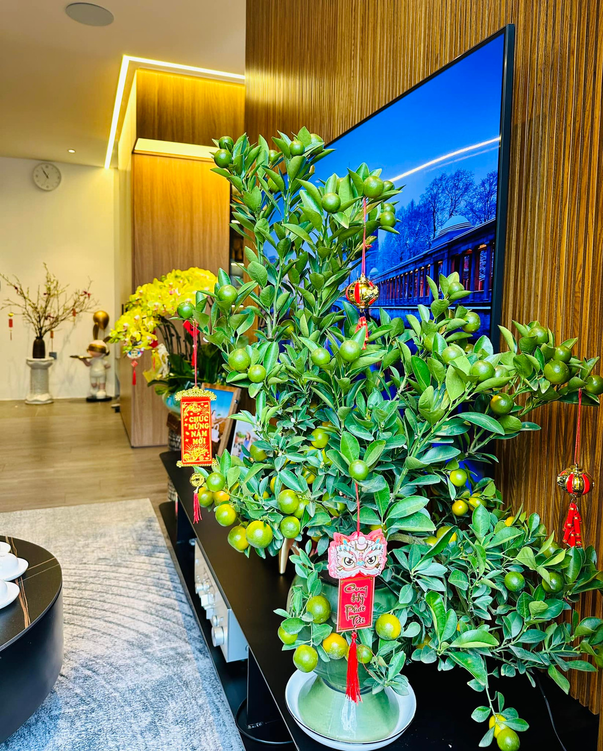 Trên kệ ti vi còn có một chậu quất xinh xắn.