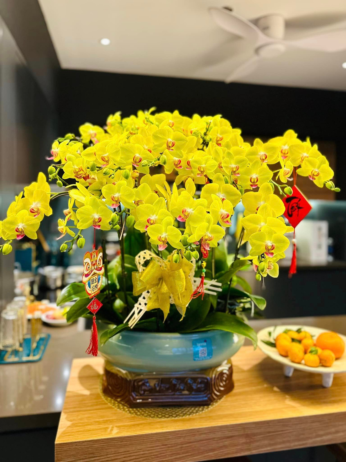 Lan hồ điệp vàng mang ý nghĩa cầu chúc một năm mới gặp nhiều may mắn và thuận lợi.