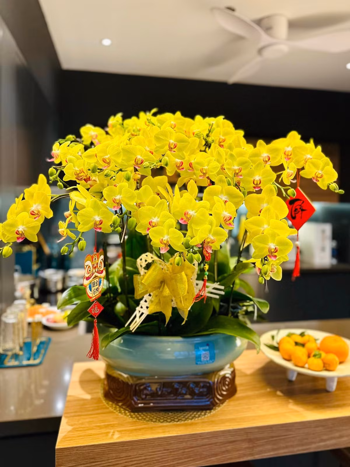 Lan hồ điệp vàng mang ý nghĩa cầu chúc một năm mới gặp nhiều may mắn và thuận lợi.