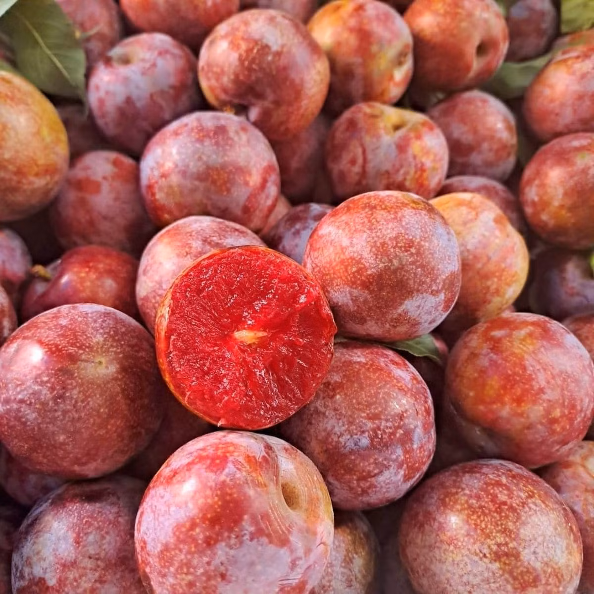 Chị Trang, chuyên bán trái cây online chia sẻ: "Do bán online, không phải trả phí mặt bằng nên giá mận thấp hơn một chút so với các cửa hàng.