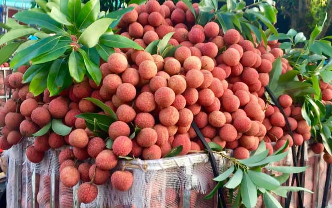 Bên cạnh đó, vải u hồng đầu vụ nên số lượng bán ra thị trường còn hạn chế. Ảnh: Facebook