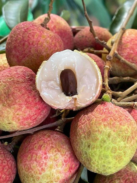 Đó là giống vải u hồng trồng nhiều tại các tỉnh Tây Nguyên. Ngoài ra còn có vải u hồng Phù Cừ, Hưng Yên. Ảnh: Facebook