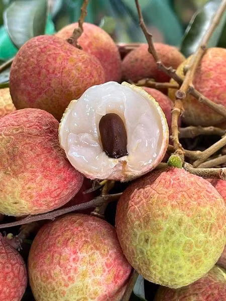 Đó là giống vải u hồng trồng nhiều tại các tỉnh Tây Nguyên. Ngoài ra còn có vải u hồng Phù Cừ, Hưng Yên. Ảnh: Facebook