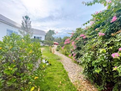 Căn nhà sử dụng gam màu trắng chủ đạo, có sân vườn ngập tràn hoa và cây cối, trông chẳng khác nào ở công viên.