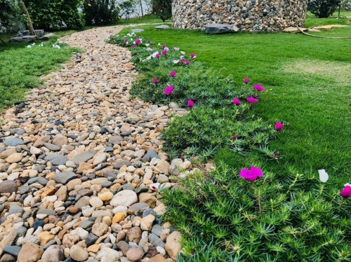 Lối đi trong vườn trải sỏi và trồng hoa đẹp mắt.