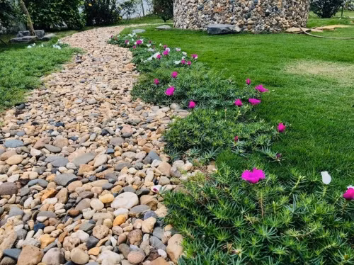 Lối đi trong vườn trải sỏi và trồng hoa đẹp mắt.