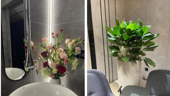 Góc nào cũng ngập hoa và cây xanh.