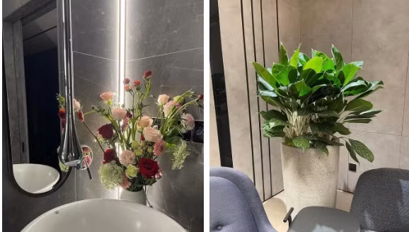 Góc nào cũng ngập hoa và cây xanh.