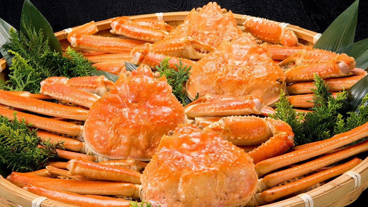 Phần bụng của cua gái có nhiều trứng và gạch với hương vị đậm đà, để lại ấn tượng khó quên cho thực khách. Ảnh: Nippon