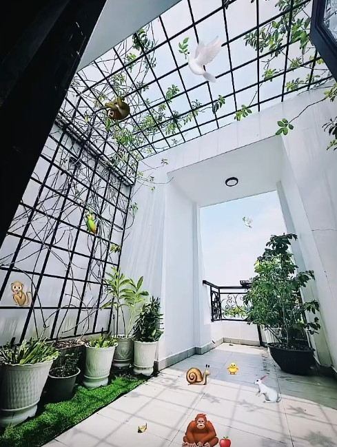 Sân thượng trồng nhiều cây và hoa. Nguồn ảnh: FBNV
