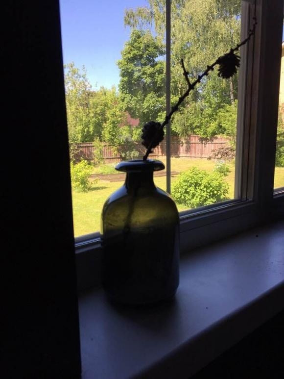 Khu vườn bên ngoài xanh mướt mắt.