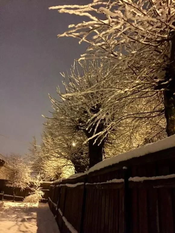 Tường bao xung quanh nhà được làm bằng gỗ.