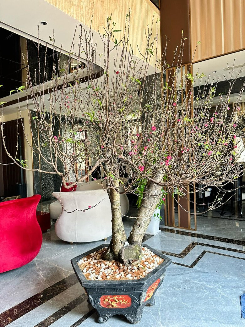 Dịp Tết, danh hài Việt Hương trang trí căn biệt thự ngặp sắc hoa của mùa xuân.