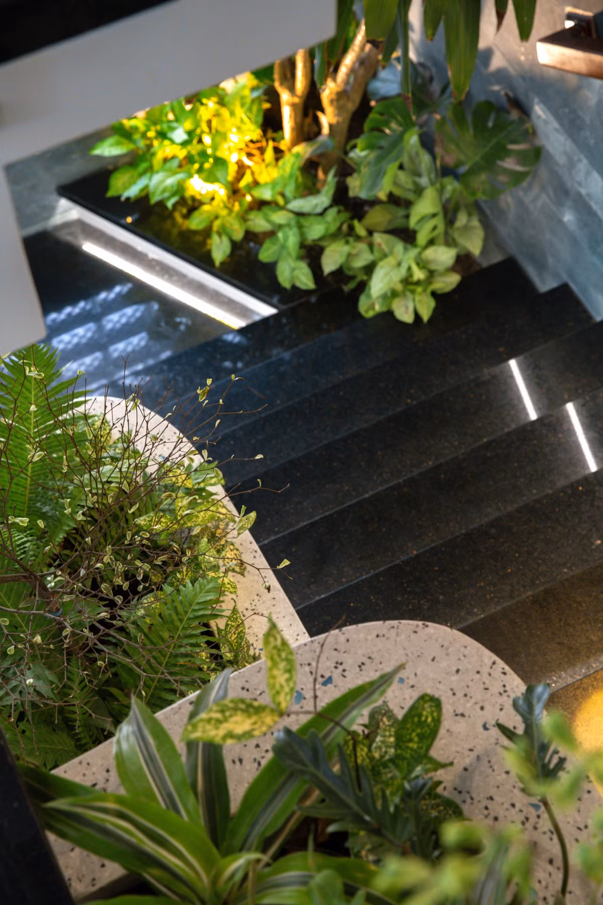 Ngôi nhà có chiều dài ngắn nên không gian xanh được bố trí liên tục theo trục cầu thang và ô thông tầng, giúp ngôi nhà tiếp cận được thiên nhiên theo trục đứng và tạo cho không gian trở nên mềm mại đỡ bị nhàm chán hơn.