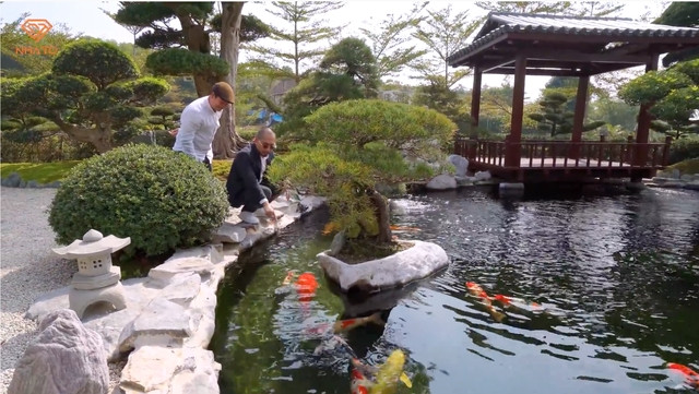 Nhiều con cá có chiều dài tới gần 1m. Ảnh chụp màn hình NhaTo