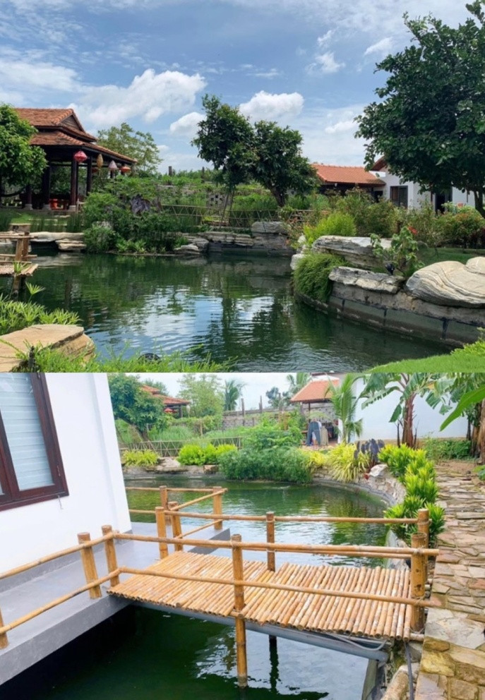 Vốn yêu thích thiên nhiên, nghệ sĩ Trường Giang dành nhiều thời gian để tôn tạo, chăm sóc và trang trí cho khu nhà của mình. Anh tự tay nuôi cá và cuốc đất trồng các loại cây, rau củ quả, bày trí hệt như một khu vườn quê. Ảnh: Vietnamnet