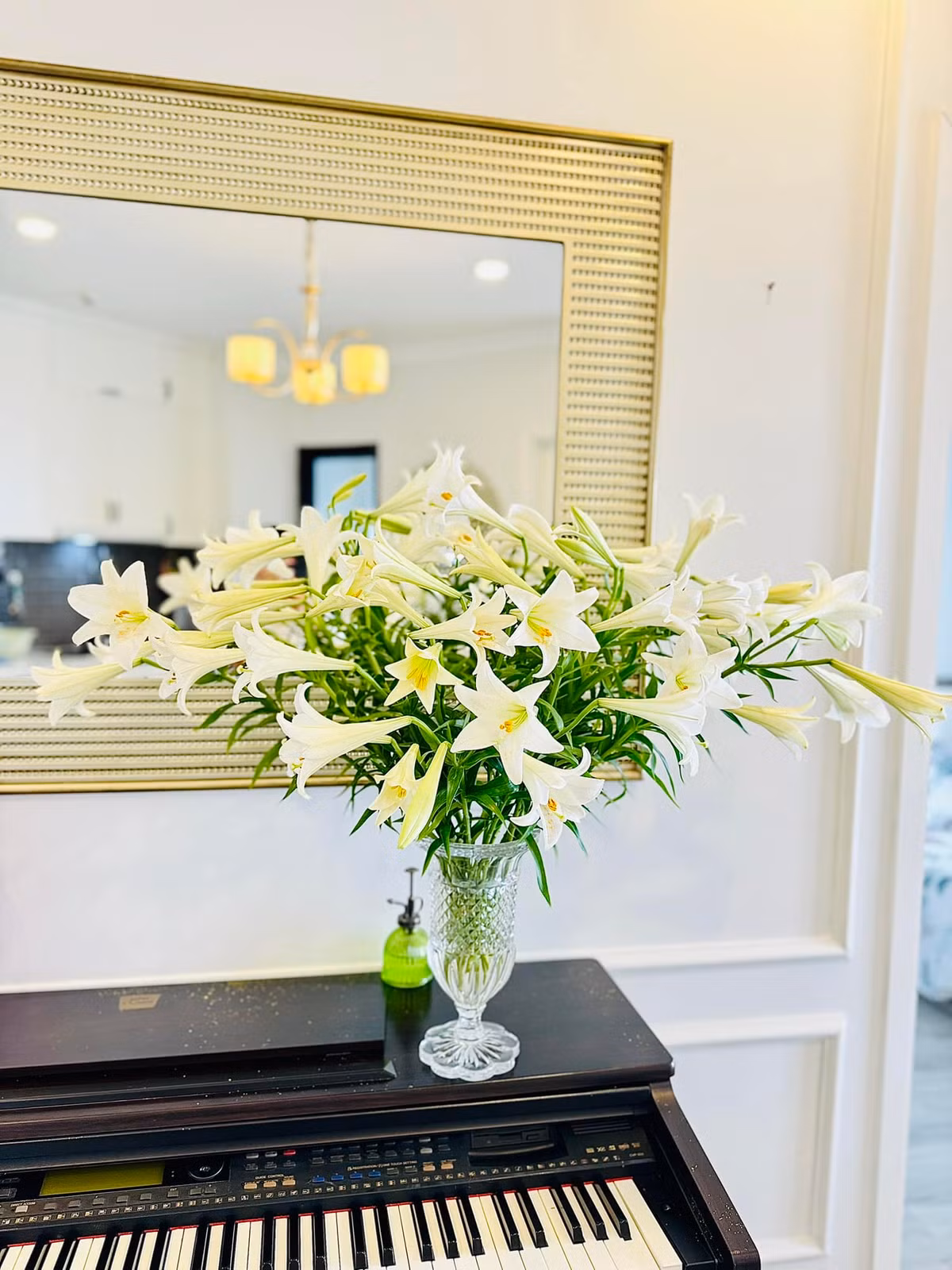 Gần như mỗi ngày, BTV Khánh Trang lại thay một loài hoa khác nhau tạo cảm giác mới mẻ cho không gian sống. Ảnh: FB Trần Minh Trang